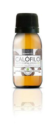 Terpenic Calophylle V 60ml Bio