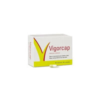 Laboratorios Viñas Vigorcap 90 Gélules