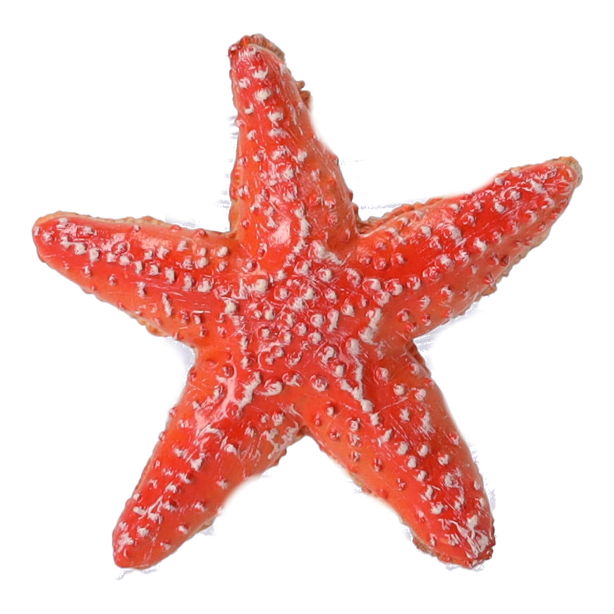 Sammelfigur Seestern, Papo